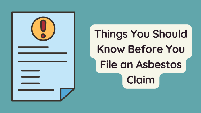 Things You Should Know Before You File an Asbestos Claim Things You Should Know Before You File an Asbestos Claim