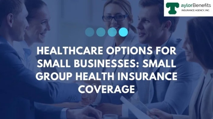 Private Health Insurance for Small Businesses Private Health Insurance for Small Businesses