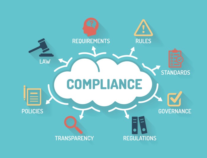 Legal Compliance Icon Legal Compliance Icon
